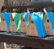 Award-winning birdhouses put up in Moscow – IDEA design competition winners