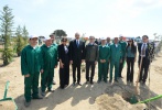 President Ilham Aliyev and family members participate in a tree-planting campaign devoted to the birthday of national leader Heydar Aliyev